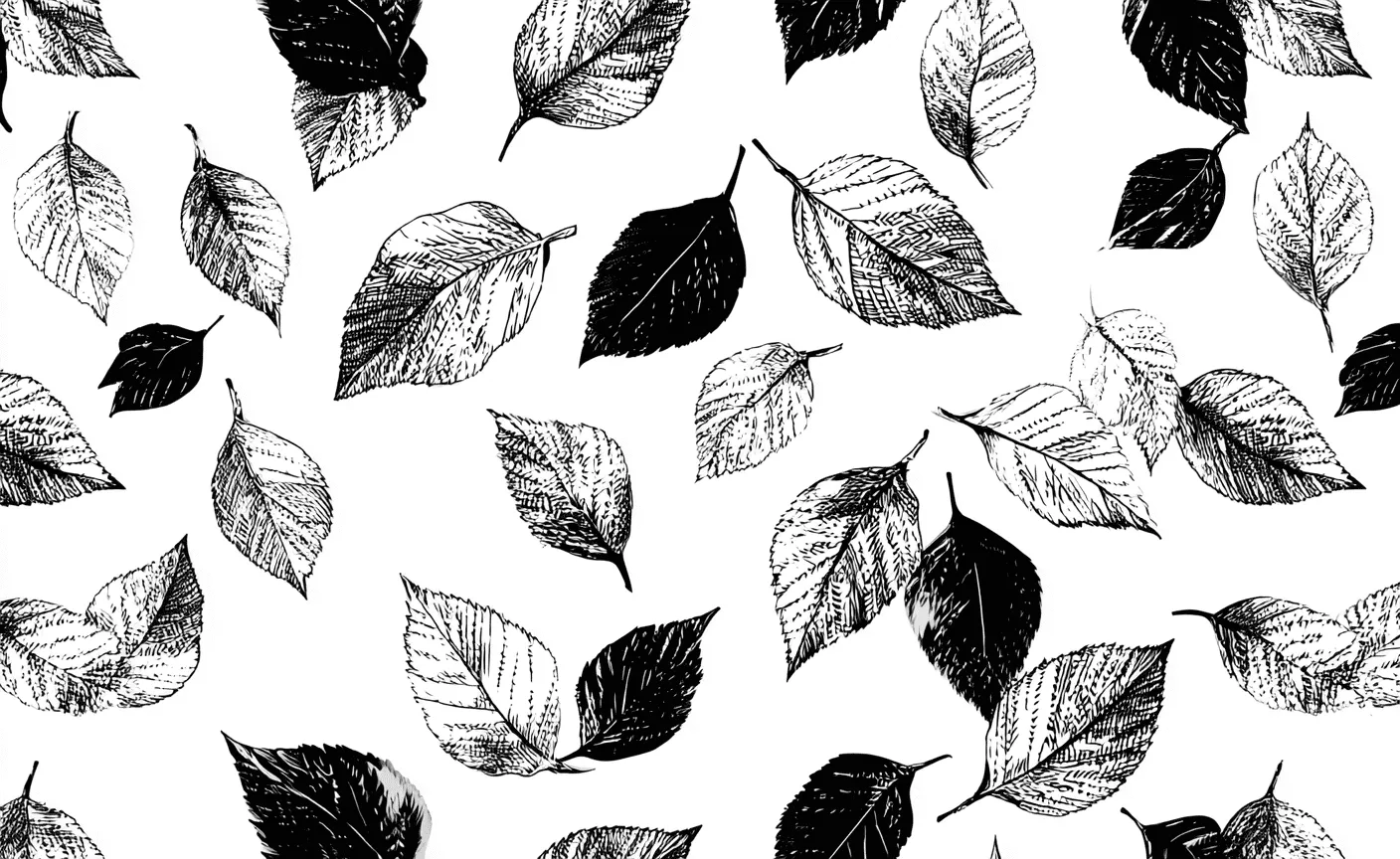 leaves