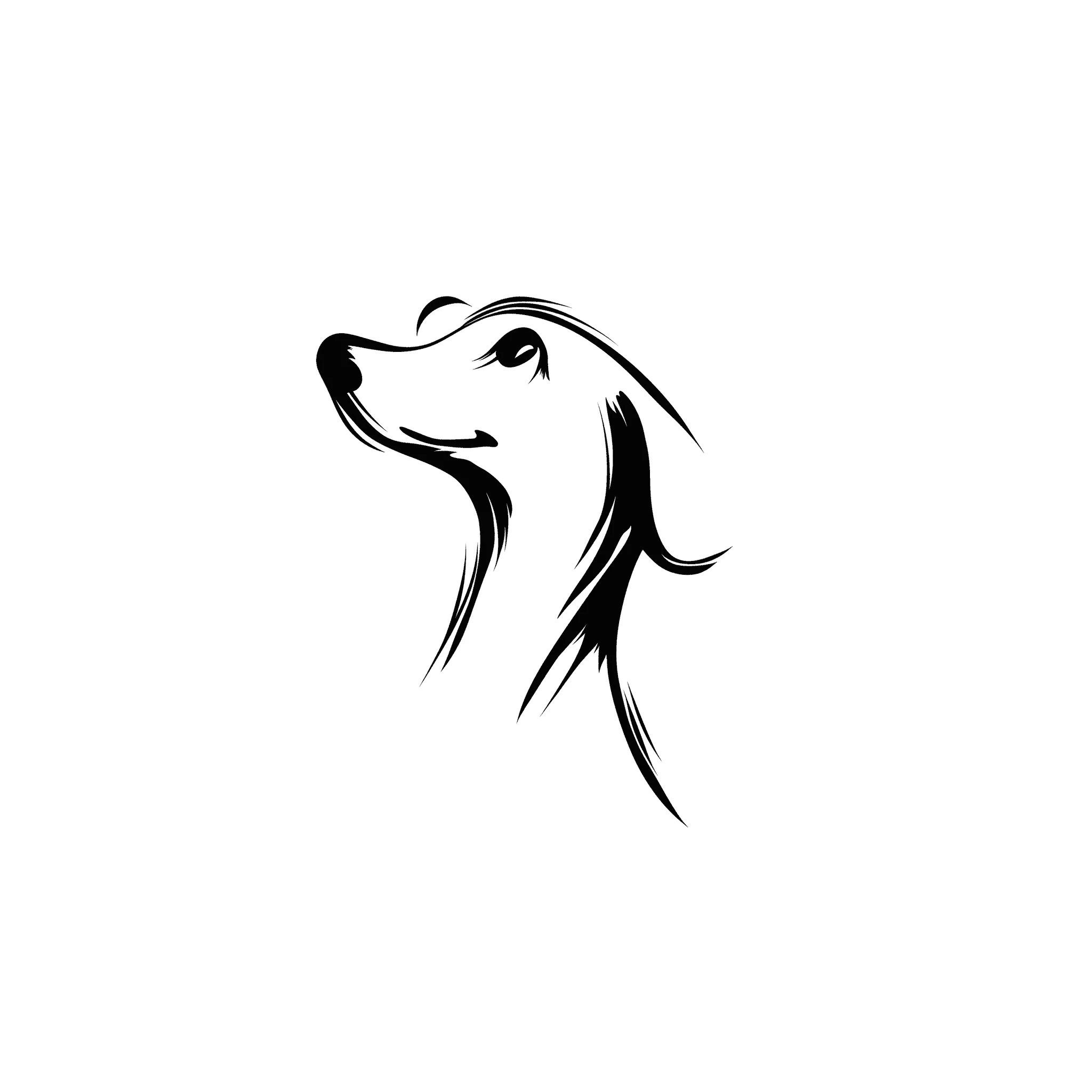 dog sketch